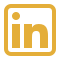 linkedin icon